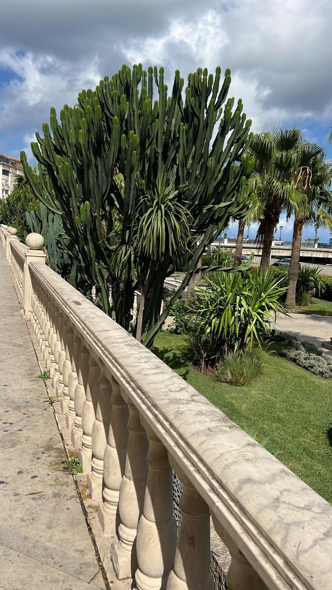 Les Terrasses De Malabata Apartment Tanger Exterior foto